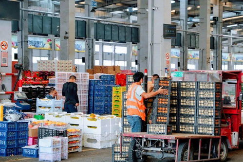 便宜到笑不動 上海隱藏的新鮮水果批發地 散戶也能買 附掃貨攻略